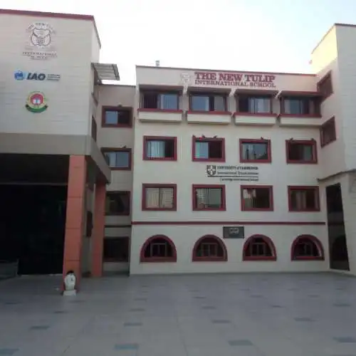 The New Tulip International School
