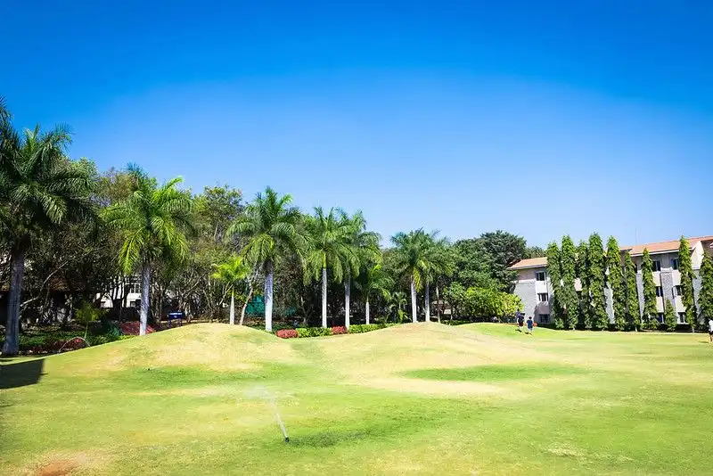 The International School Bangalore