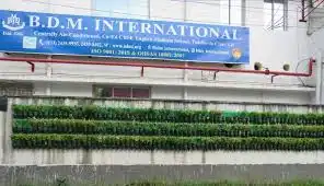 B.d.m International B.d.m International