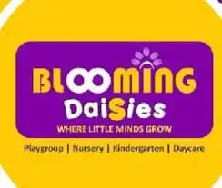 Blooming Daisies Preschool And Daycare