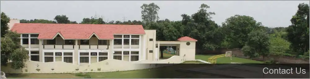 The Jain International School