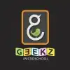 Geekz Microschool Geekz Microschool