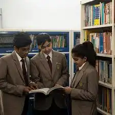Image 3 Image 3