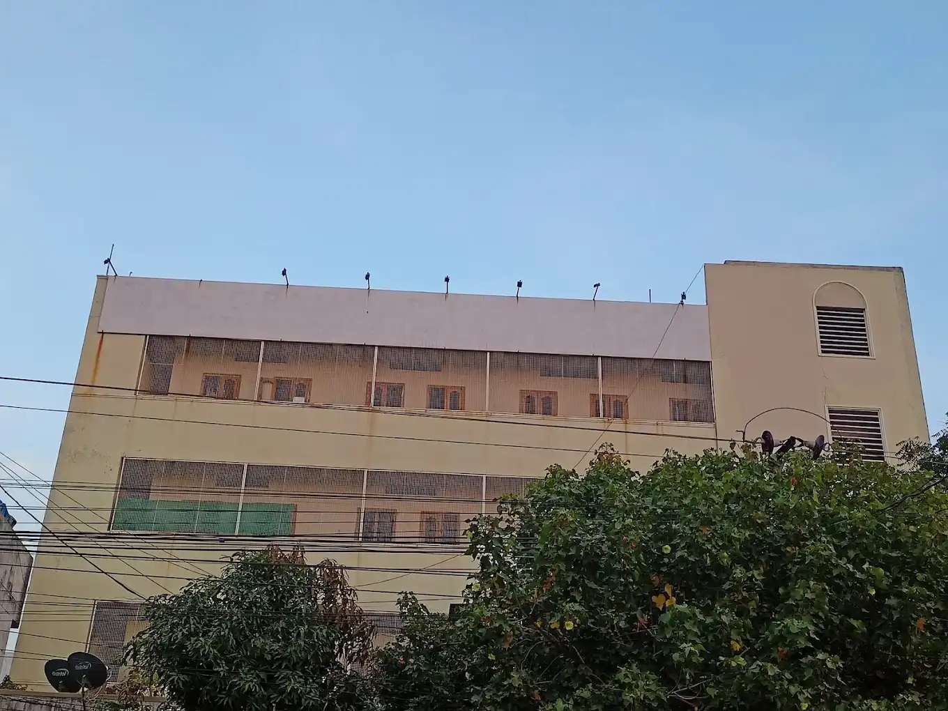 N.s. Grammar High School | N.s. Grammar High School |