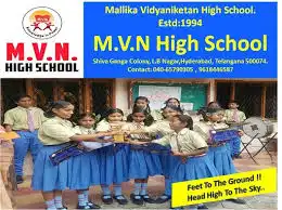 Mvn High School